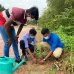 Tree Planting 3